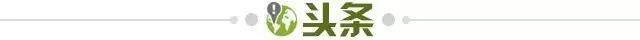 【早报】宠黑粉!内马尔退出本期国家队